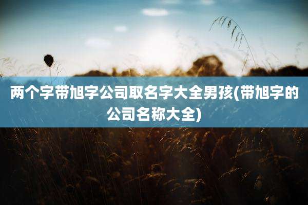 两个字带旭字公司取名字大全男孩(带旭字的公司名称大全)