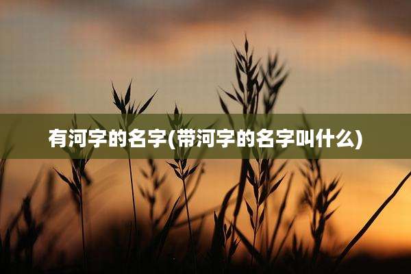 有河字的名字(带河字的名字叫什么)