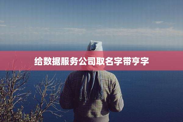 给数据服务公司取名字带亨字