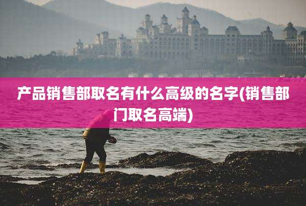 产品销售部取名有什么高级的名字(销售部门取名高端)