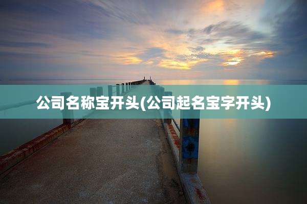 公司名称宝开头(公司起名宝字开头)