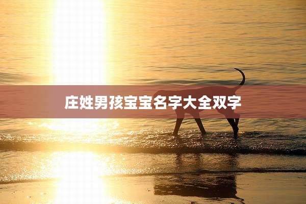 庄姓男孩宝宝名字大全双字