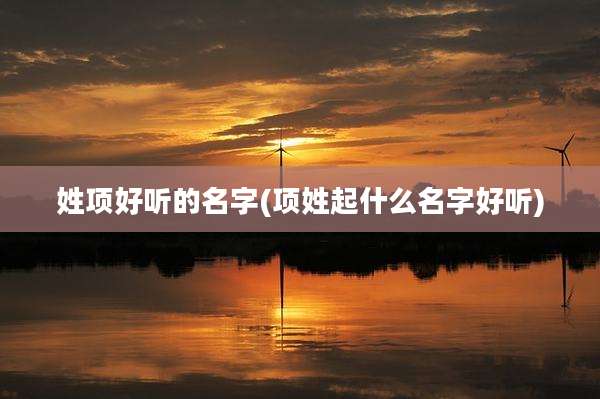 姓项好听的名字(项姓起什么名字好听)
