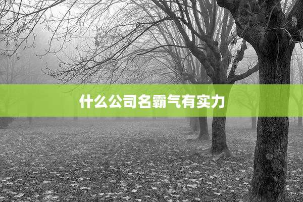 什么公司名霸气有实力