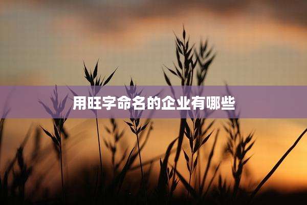 用旺字命名的企业有哪些