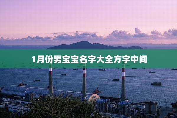 1月份男宝宝名字大全方字中间