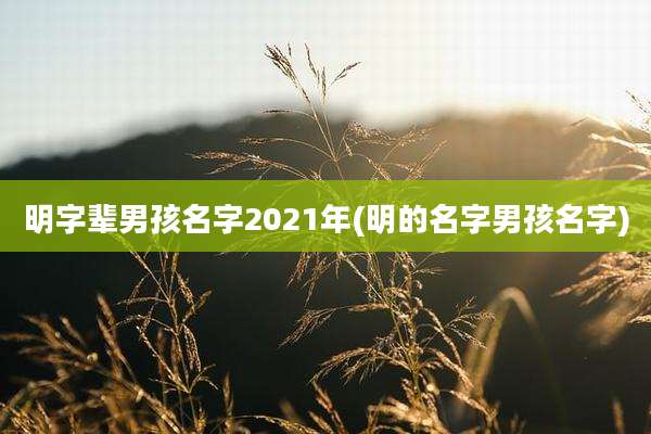 明字辈男孩名字2021年(明的名字男孩名字)