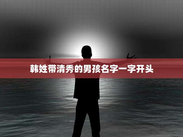 韩姓带清秀的男孩名字一字开头