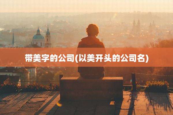 带美字的公司(以美开头的公司名)