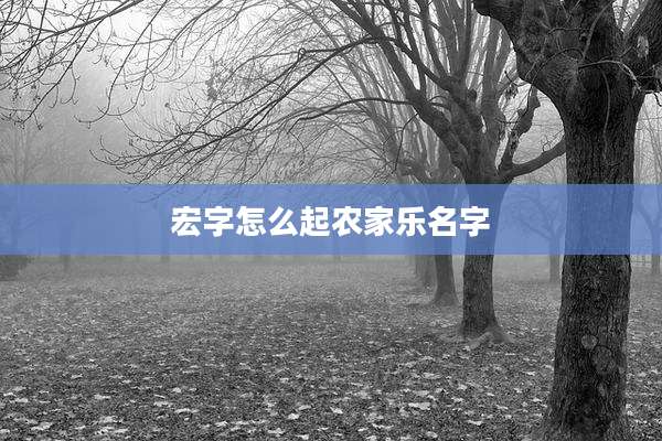 宏字怎么起农家乐名字