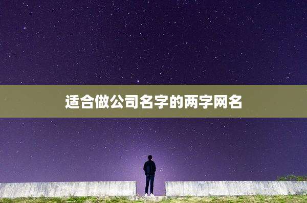 适合做公司名字的两字网名