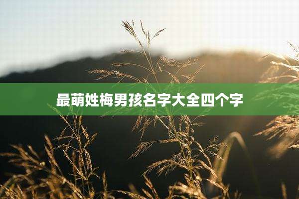 最萌姓梅男孩名字大全四个字