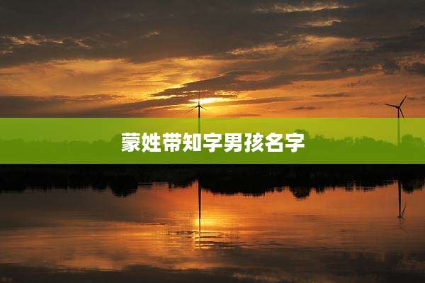 蒙姓带知字男孩名字