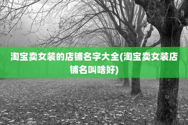 淘宝卖女装的店铺名字大全(淘宝卖女装店铺名叫啥好)