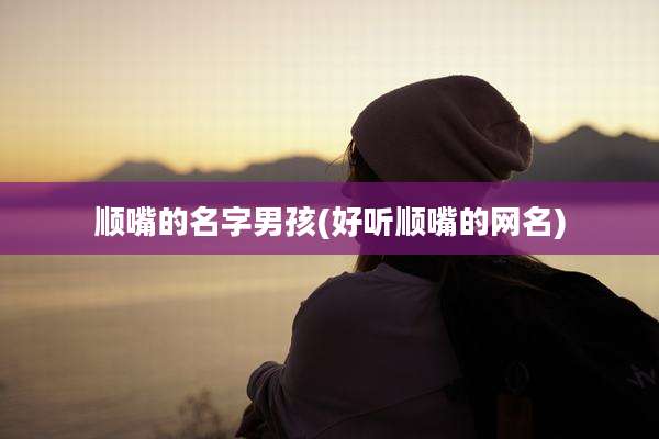 顺嘴的名字男孩(好听顺嘴的网名)