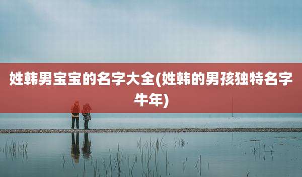 姓韩男宝宝的名字大全(姓韩的男孩独特名字牛年)