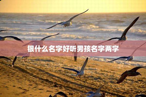 银什么名字好听男孩名字两字