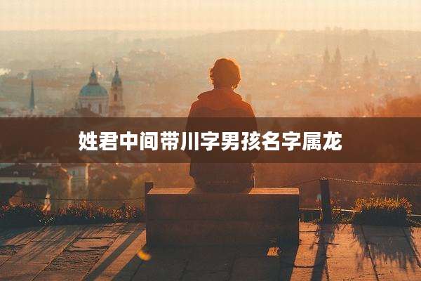 姓君中间带川字男孩名字属龙