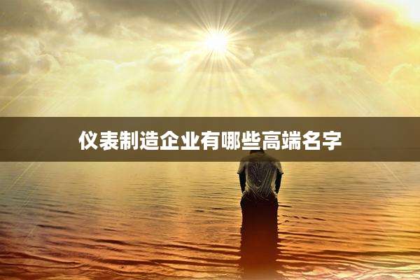 仪表制造企业有哪些高端名字