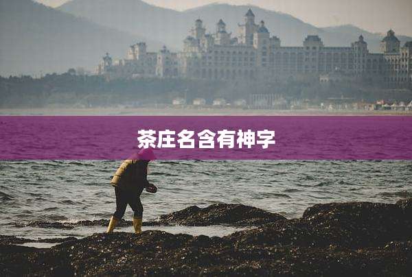 茶庄名含有神字