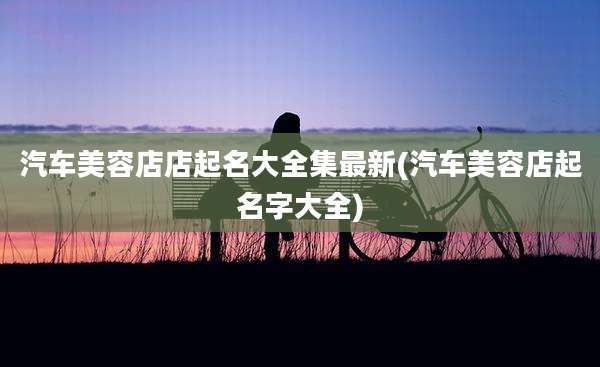 汽车美容店店起名大全集最新(汽车美容店起名字大全)
