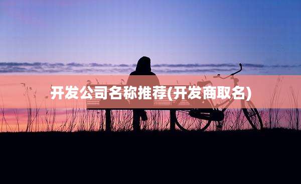 开发公司名称推荐(开发商取名)