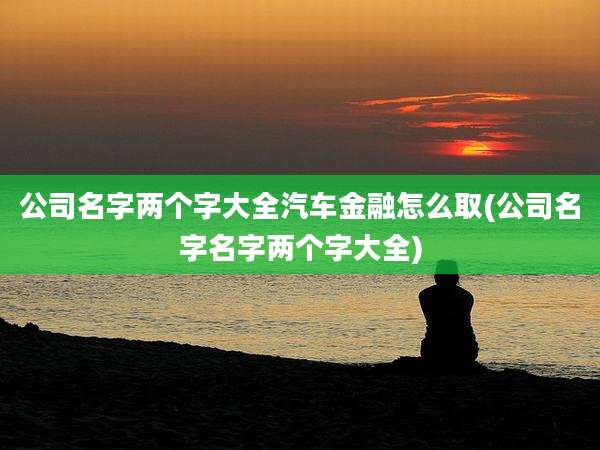 公司名字两个字大全汽车金融怎么取(公司名字名字两个字大全)