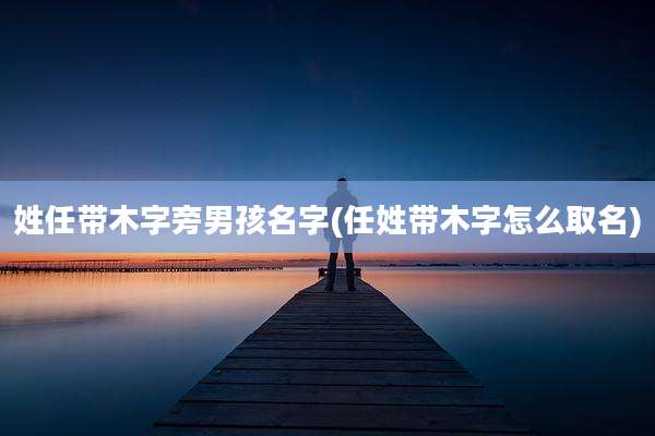 姓任带木字旁男孩名字(任姓带木字怎么取名)