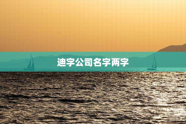 迪字公司名字两字