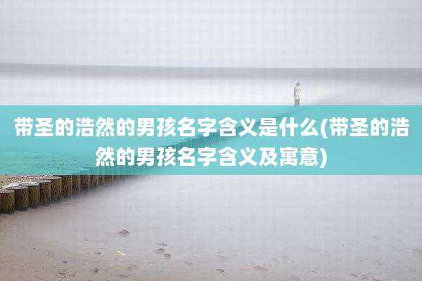 带圣的浩然的男孩名字含义是什么(带圣的浩然的男孩名字含义及寓意)