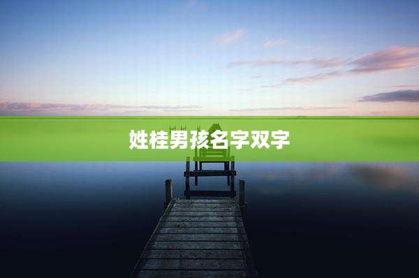 姓桂男孩名字双字