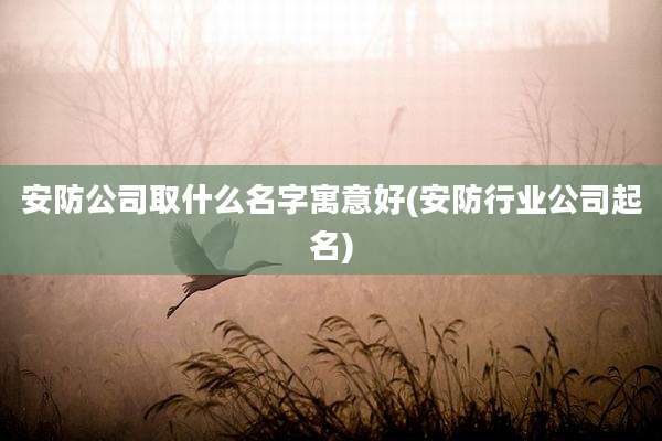 安防公司取什么名字寓意好(安防行业公司起名)