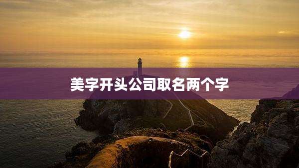 美字开头公司取名两个字