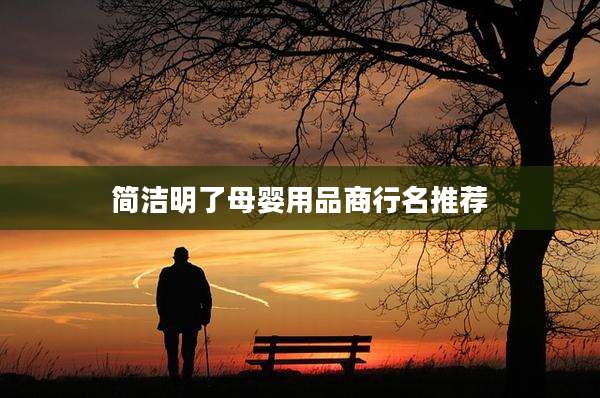 简洁明了母婴用品商行名推荐