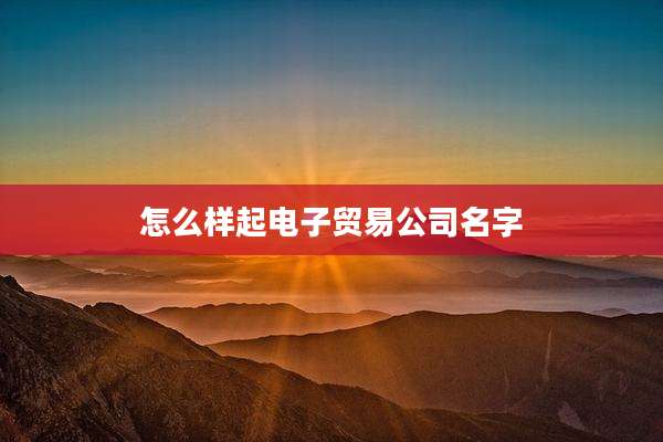 怎么样起电子贸易公司名字