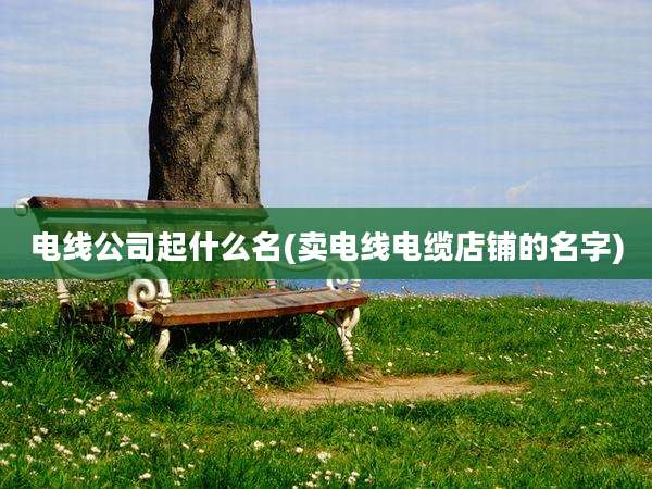 电线公司起什么名(卖电线电缆店铺的名字)
