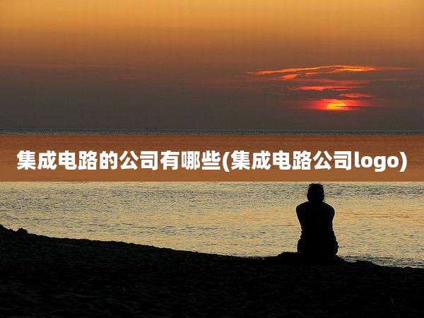 集成电路的公司有哪些(集成电路公司logo)