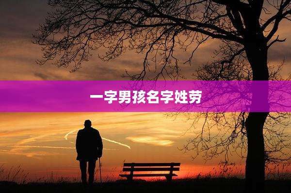 一字男孩名字姓劳