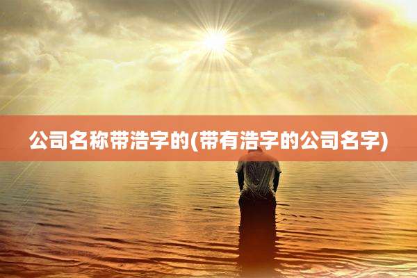 公司名称带浩字的(带有浩字的公司名字)
