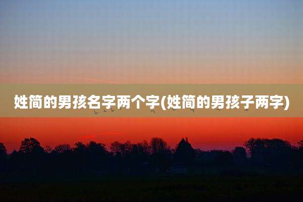 姓简的男孩名字两个字(姓简的男孩子两字)