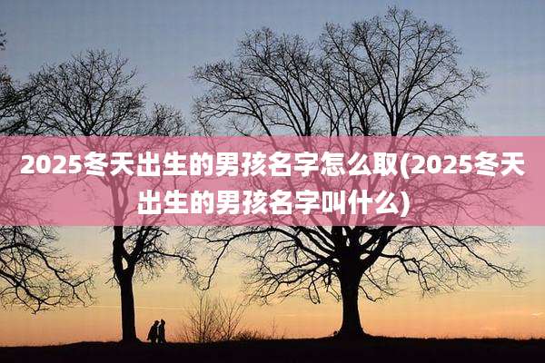 2025冬天出生的男孩名字怎么取(2025冬天出生的男孩名字叫什么)