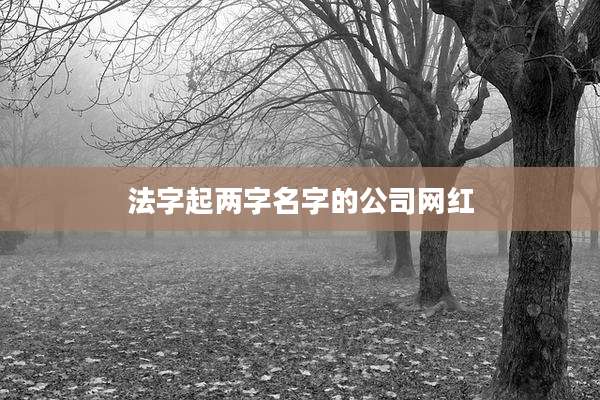 法字起两字名字的公司网红