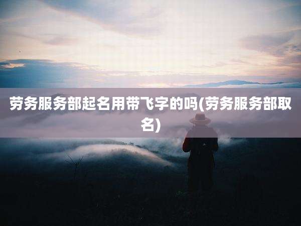 劳务服务部起名用带飞字的吗(劳务服务部取名)
