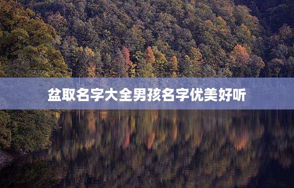 盆取名字大全男孩名字优美好听