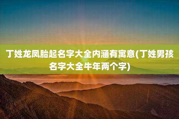 丁姓龙凤胎起名字大全内涵有寓意(丁姓男孩名字大全牛年两个字)