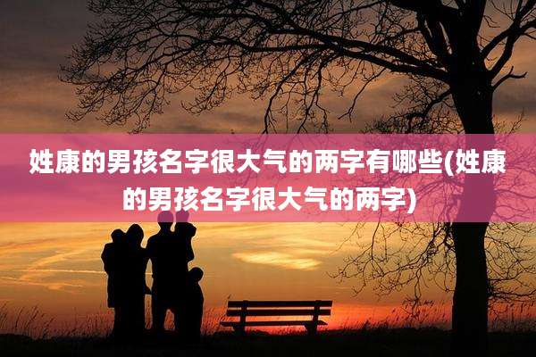 姓康的男孩名字很大气的两字有哪些(姓康的男孩名字很大气的两字)
