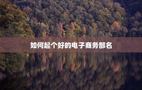 如何起个好的电子商务部名