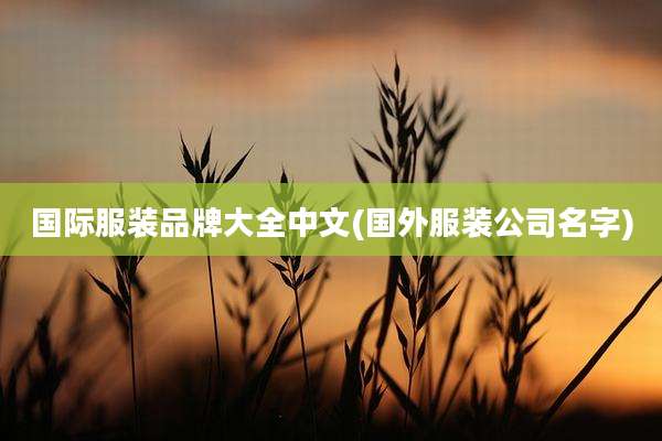 国际服装品牌大全中文(国外服装公司名字)