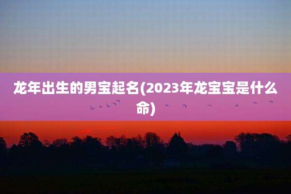 龙年出生的男宝起名(2023年龙宝宝是什么命)