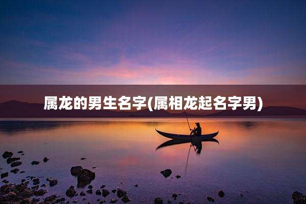 属龙的男生名字(属相龙起名字男)